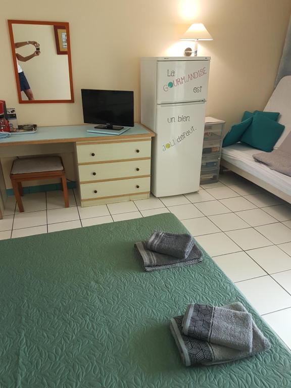 TV a/nebo společenská místnost v ubytování Studio CRISTAL COCO Martinique