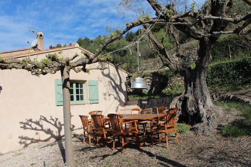 a table and chairs under a tree next to a house at Mas Chamarel à Sanary-sur-Mer au milieu des vignes et oliviers in Sanary-sur-Mer
