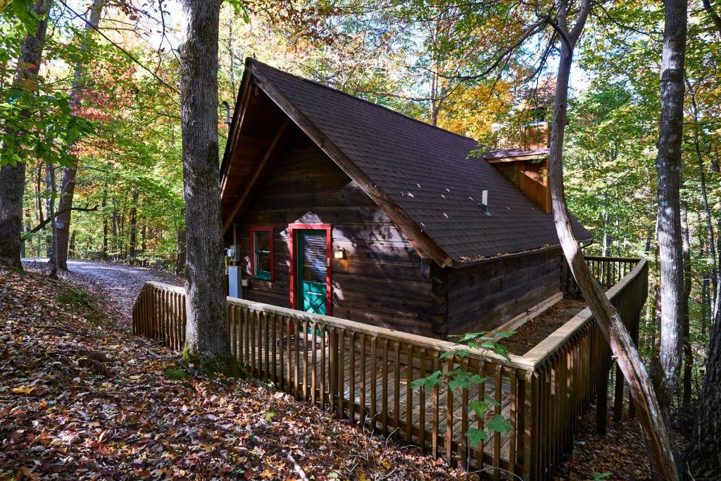 A Cabin In The Woods - Gatlinburg Area Hot Tub Cabin - Passiebloem