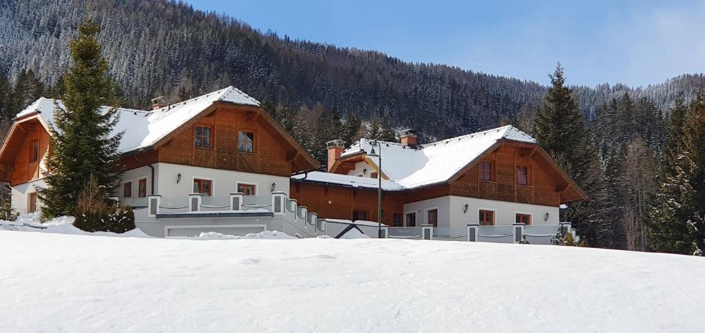 a house on top of a snow covered hill at Ferienhaus Alpenblick in Krakauschatten