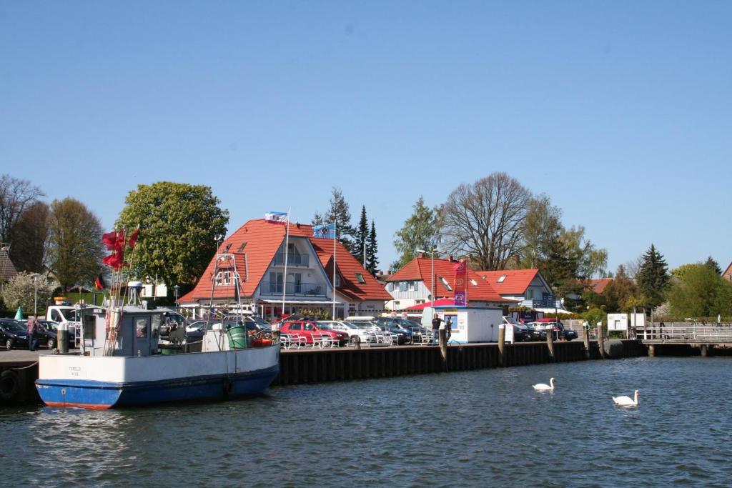 a boat docked at a marina with swans in the water at Pension Mola in Breege