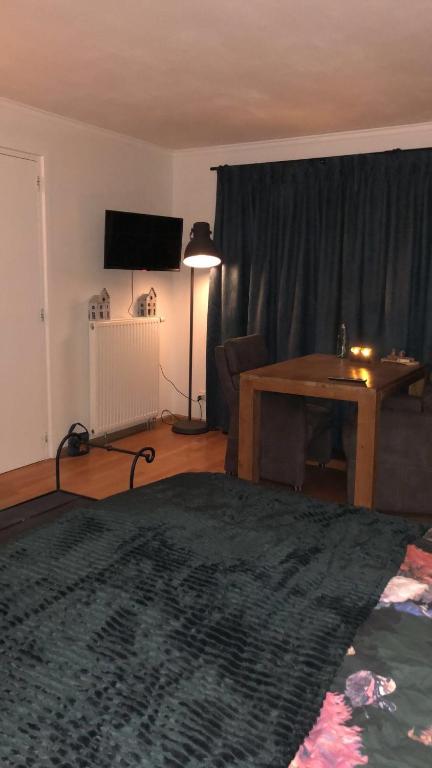 TV a/nebo společenská místnost v ubytování Grutsk op 12