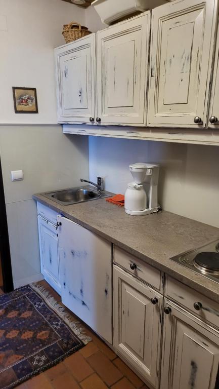 Kuchyň nebo kuchyňský kout v ubytování Sonnleitn 48 Nassfeld Apartement