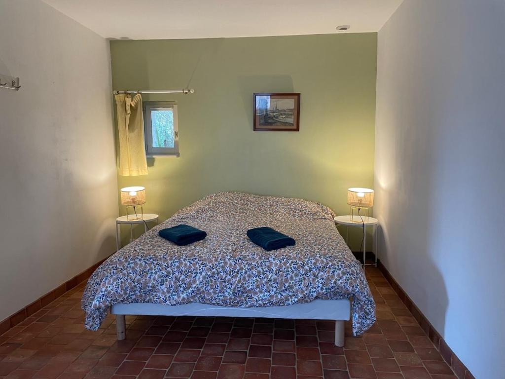 1 dormitorio con 1 cama con 2 almohadas en La Grange Chevrefeuille 