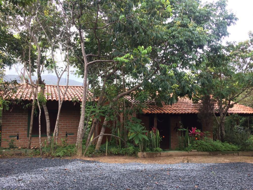 卡彭鎮的住宿－Beco das Garrafas，前面有树木的砖房