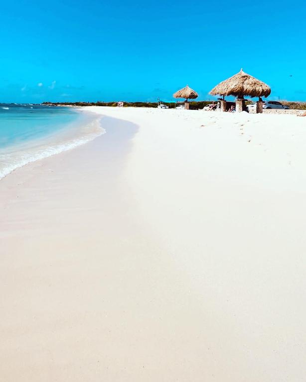 View of Top floor ocean view penthouse tour at The Whaler Kaanapali Beach ... - MSN