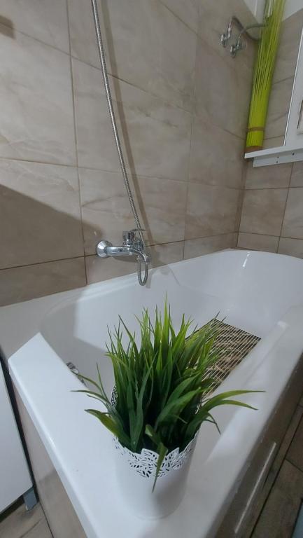 Kúpeľňa v ubytovaní Gecko Centrum Studio Apartman