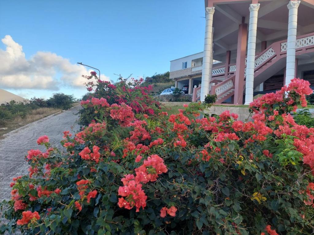 a bush of red flowers in front of a building at Sea-Renity in Oyster Pond