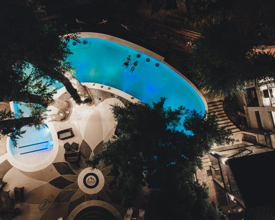 einen Blick über einen Pool mit Bäumen in der Unterkunft Rotui Exclusive Apartment in San Martín de los Andes