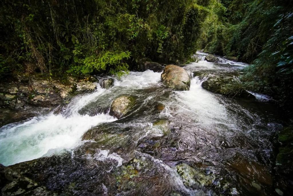 een stroom water met rotsen in een bos bij Rancho Pedra do Picú in Itamonte