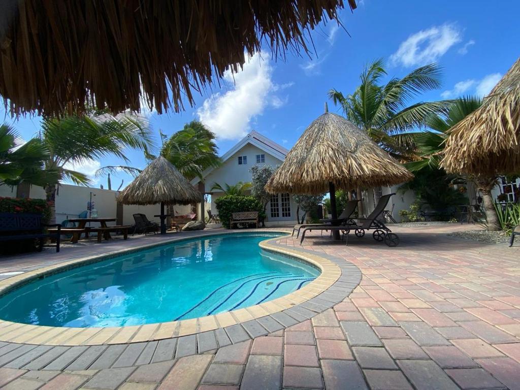 諾德的住宿－阿魯巴島熱帶公寓，一个带桌子和稻草遮阳伞的游泳池