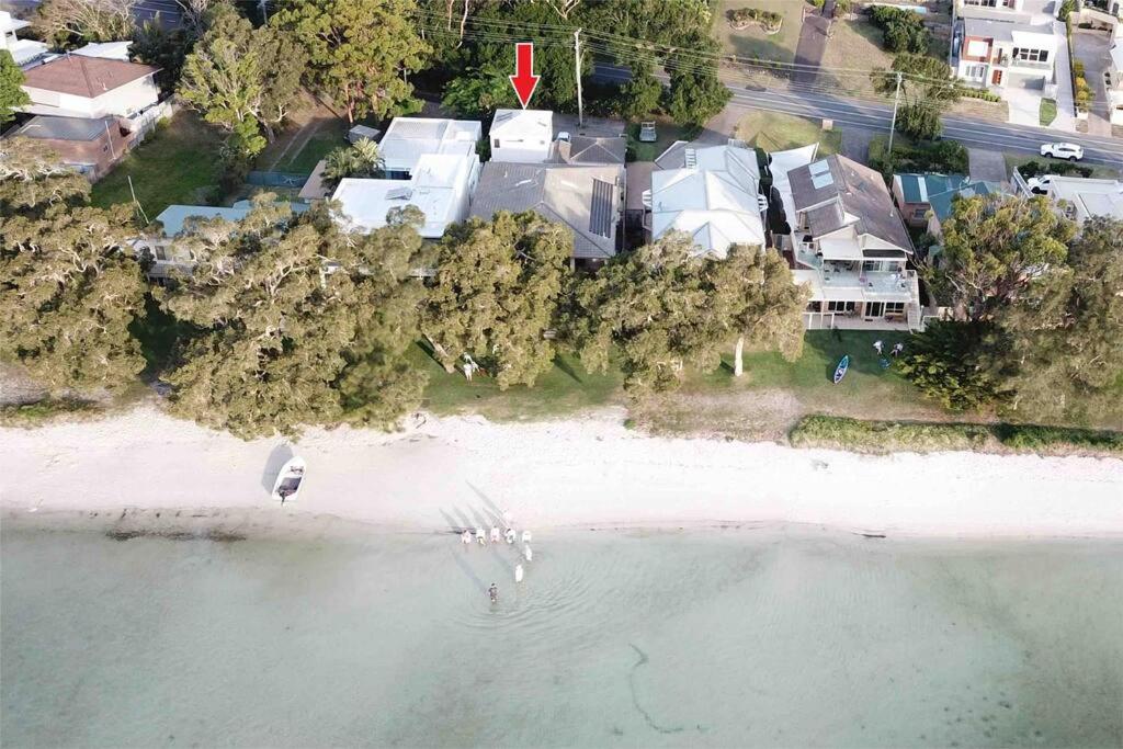 an aerial view of a beach with a bird flying over it at HighTide- luxury apartment, almost on the beach. in Corlette