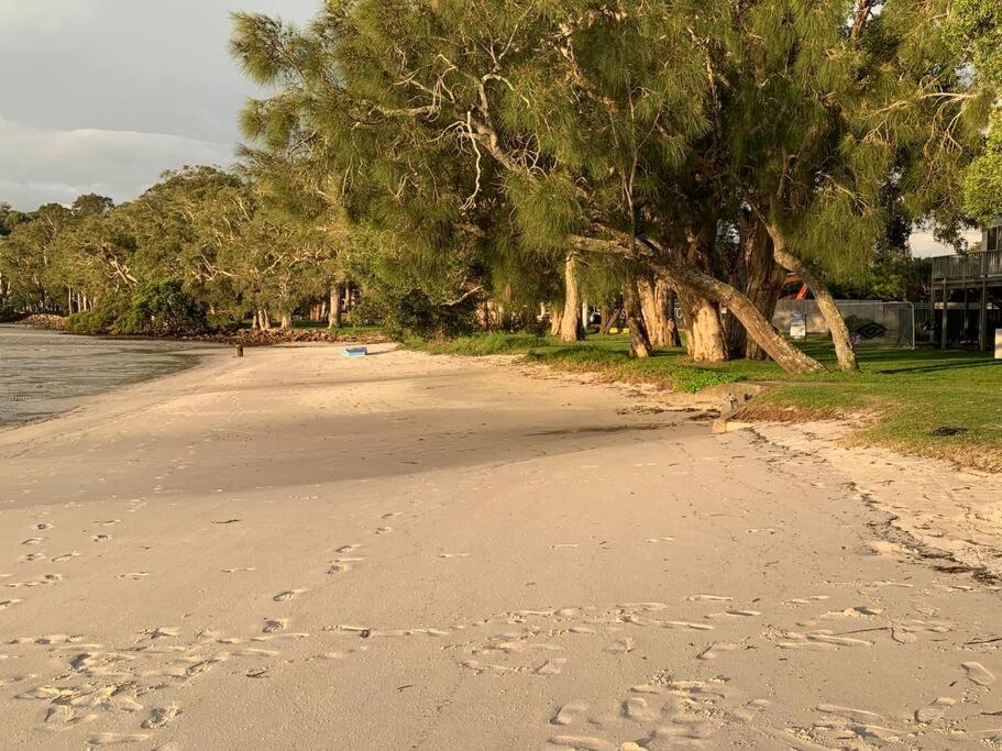 a beach with trees and footprints in the sand at HighTide- luxury apartment, almost on the beach. in Corlette