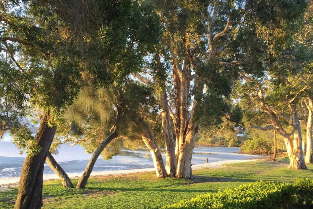 a group of trees in a park next to the water at HighTide- luxury apartment, almost on the beach. in Corlette