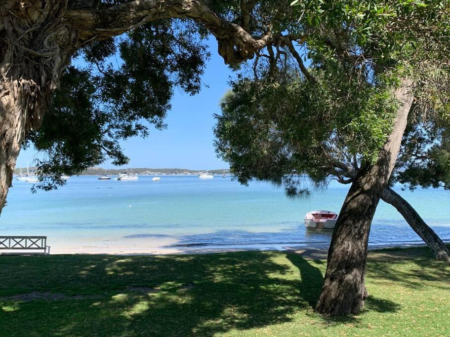 a bench sitting under a tree next to a beach at HighTide- luxury apartment, almost on the beach. in Corlette