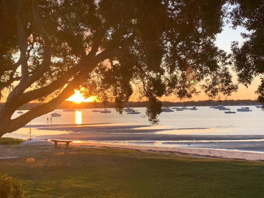 a bench sitting under a tree next to a body of water at HighTide- luxury apartment, almost on the beach. in Corlette