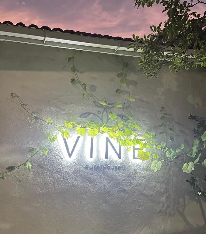 Certifikát, hodnocení, plakát nebo jiný dokument vystavený v ubytování Vine Guesthouse