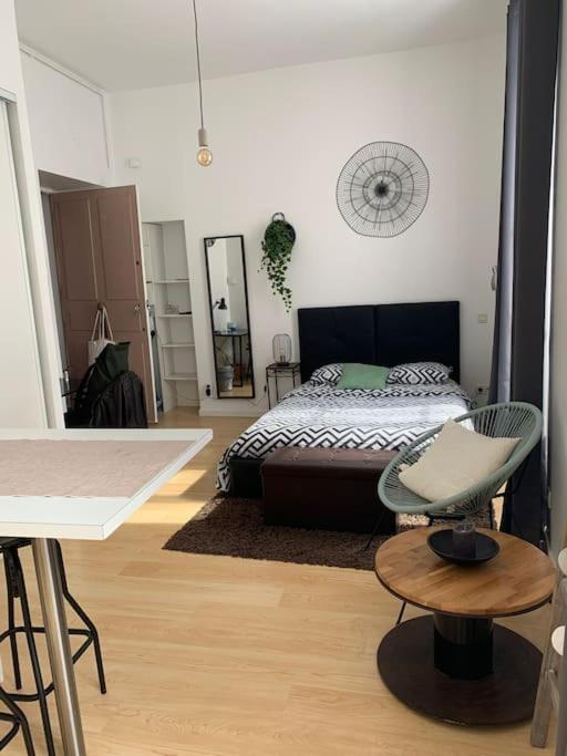 Apartment Studio . Hypercentre . Mâcon . Tout équipé, France