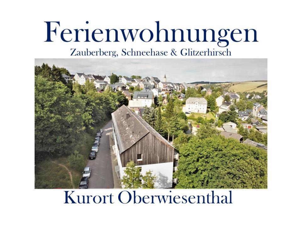 Letecký snímek ubytování Ferienwohnungen Zauberberg, Schneehase & Glitzerhirsch