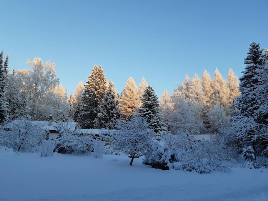 a garden covered in snow with trees in the background at Alapihan Arboretumin vierasmaja ja sauna 