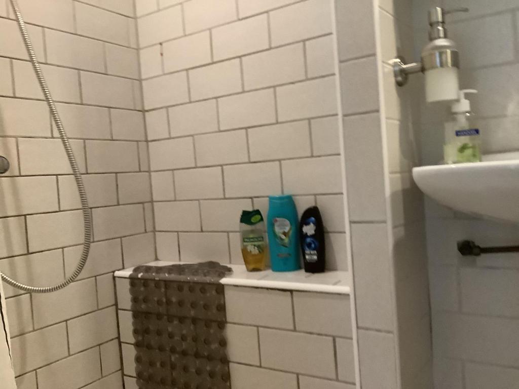 Koupelna v ubytování Dekker