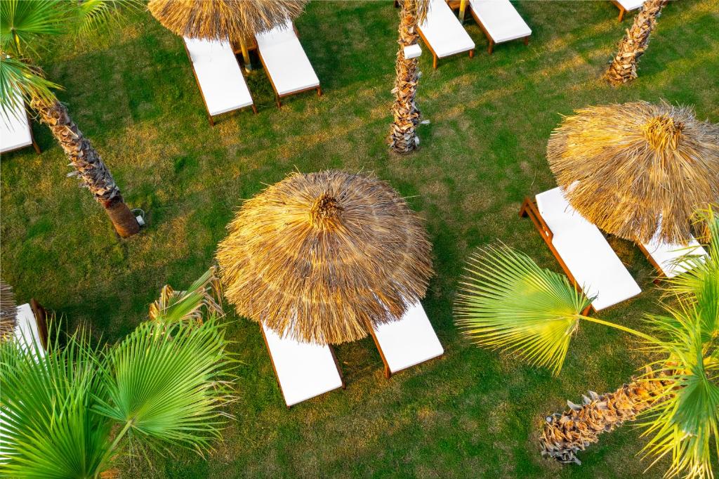 A garden outside Rubi Platinum Sign
