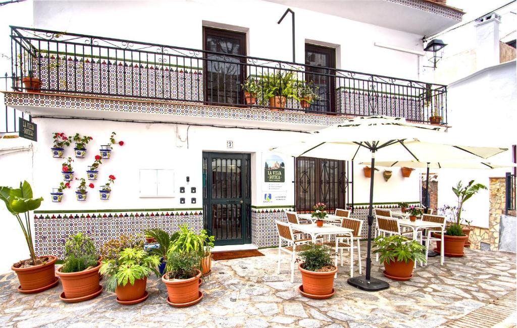 un patio con mesas, sillas y macetas en La Vieja Botica, en Canillas de Aceituno