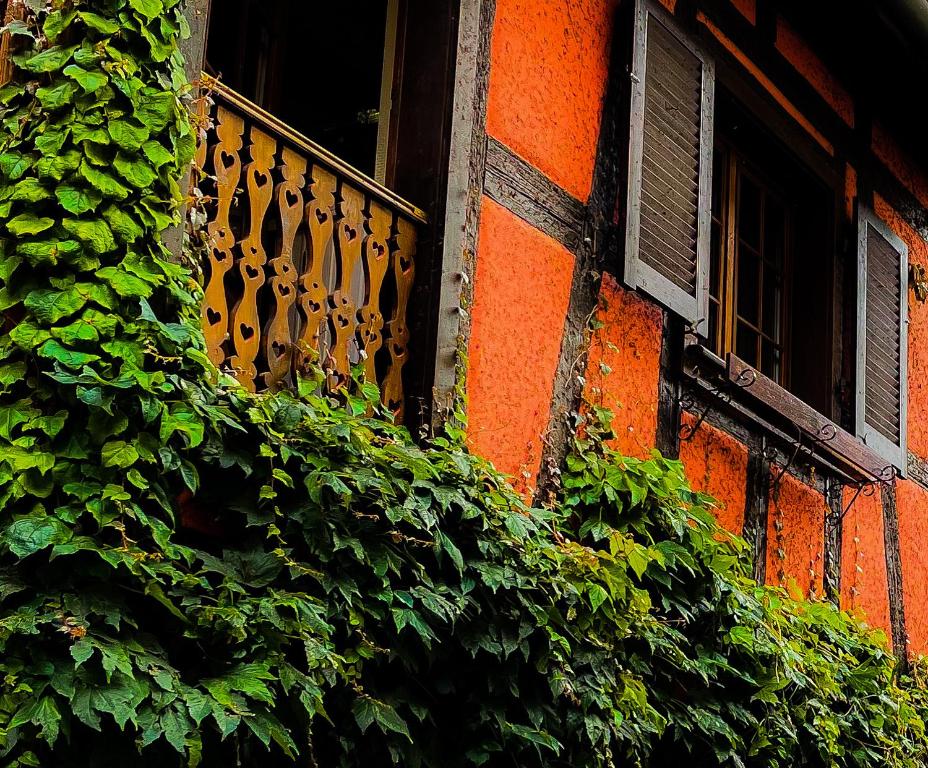 La Maison Rouge Au coeur historique de Riquewihr – photo 30