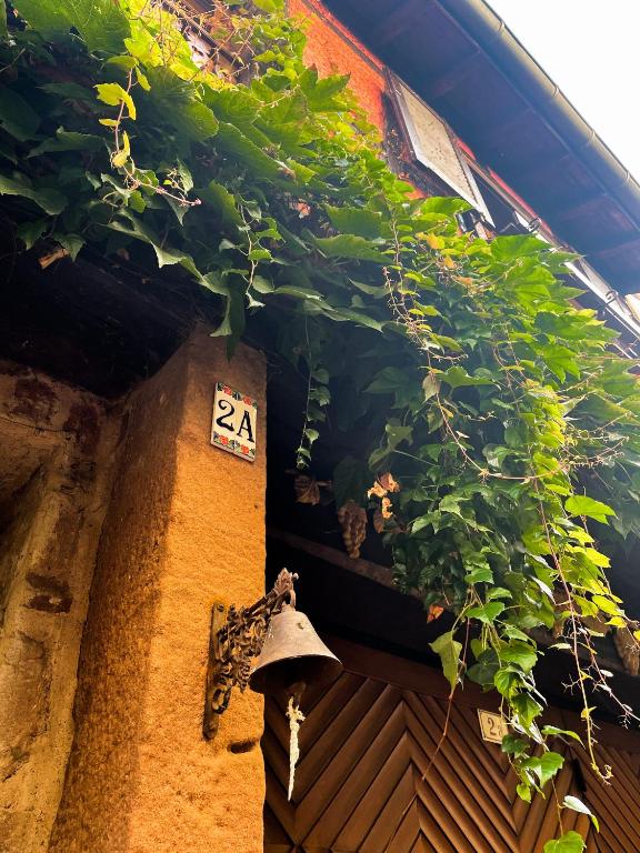 La Maison Rouge Au coeur historique de Riquewihr – photo 31