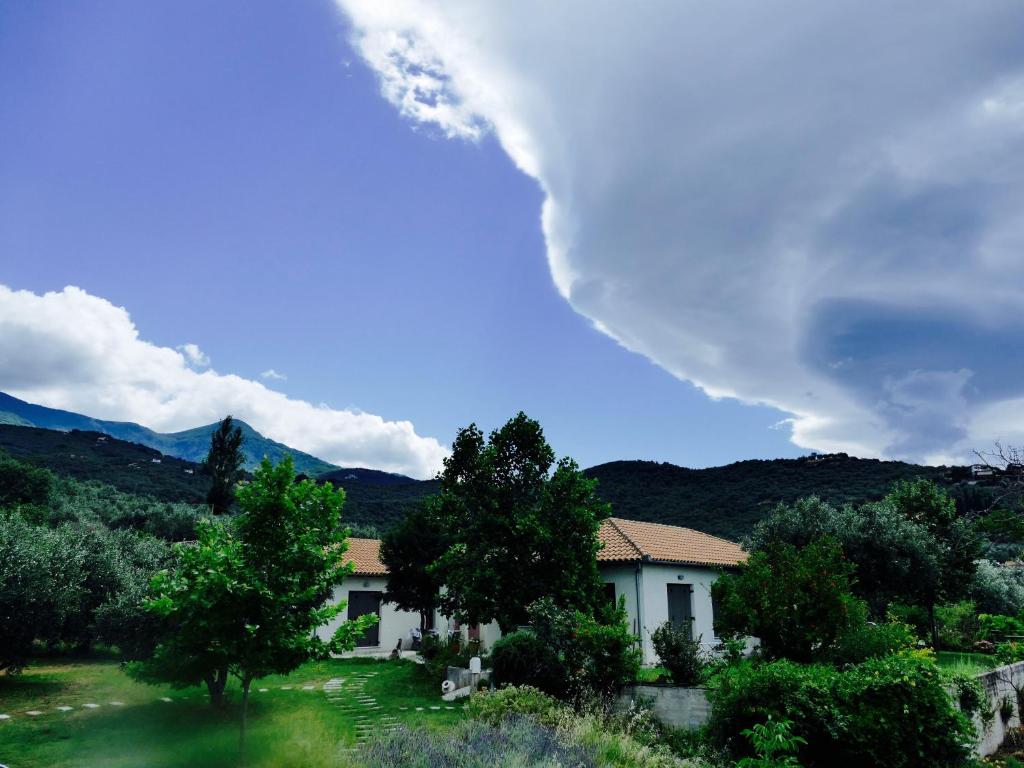 a house with trees in front of a mountain at Art Villa Pelion in Agria