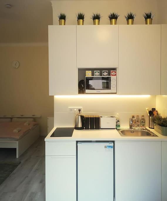 Kuchyňa alebo kuchynka v ubytovaní Lovag Design Apartment