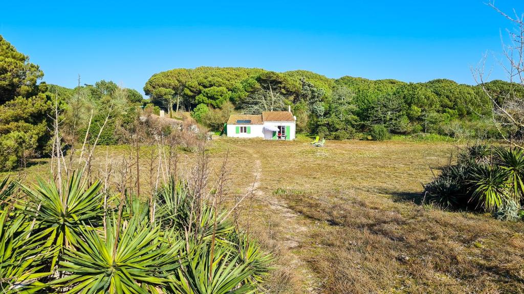 ein kleines weißes Haus auf einem Feld mit Bäumen in der Unterkunft Ensemble de 2 maisons dans les dunes in Le Bois-Plage-en-Ré