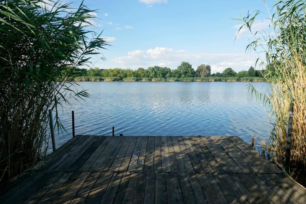 ein Dock auf einem See mit Bäumen im Hintergrund in der Unterkunft Kis Tisza fishing guest house in Tiszaug