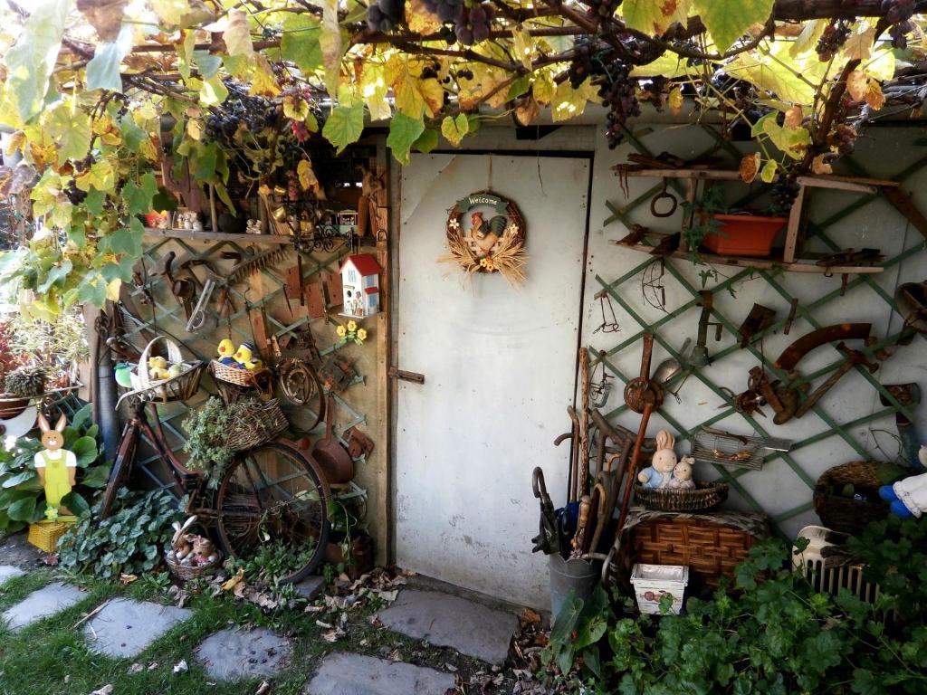 A garden outside Casamanax