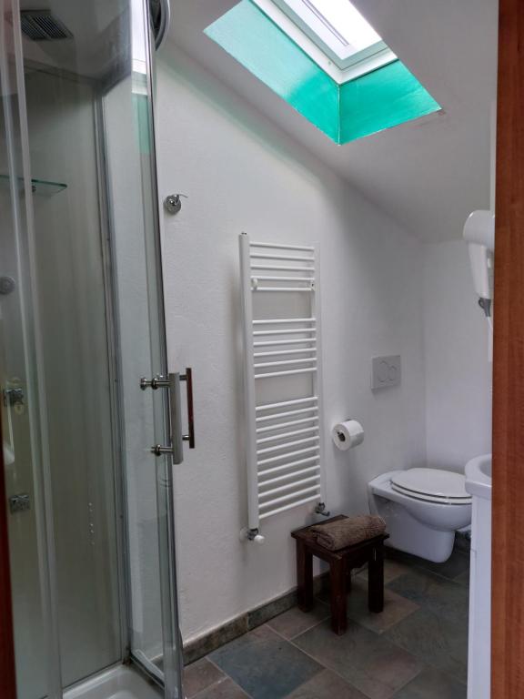 a bathroom with a shower and a toilet with a skylight at Agriturismo Oliva Azzurra in Valeriano Lunense