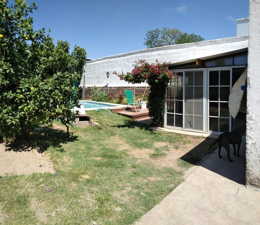 a dog is standing in the yard of a house at Cuyén Hostel in Villa María