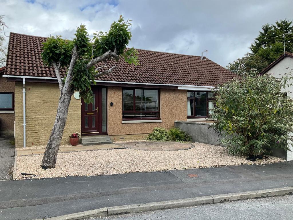 a house with a palm tree in front of it at Four-Bedroom House - Stratherrick Free Parking in Inverness