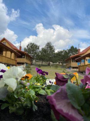 Vonkajšia záhrada v ubytovaní Luxdomki