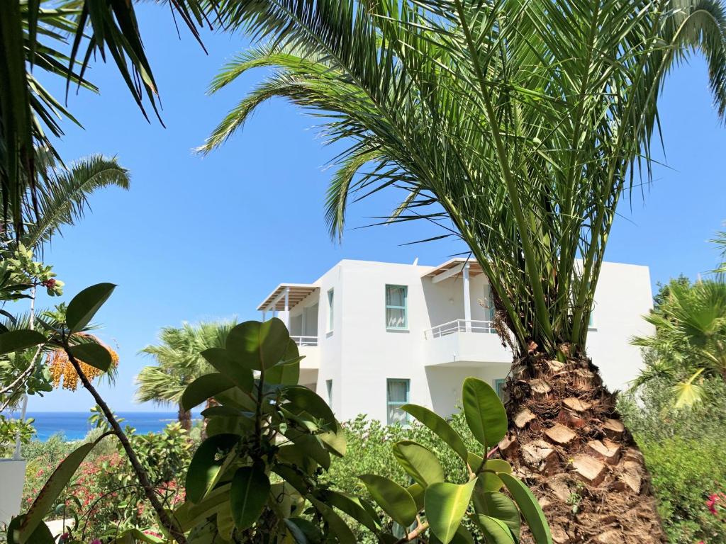 a palm tree in front of a white building at Hotel Plakures in Falasarna