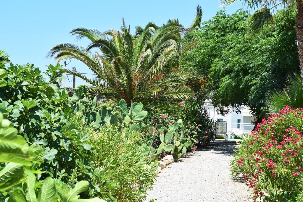 a garden with plants and trees and a pathway at Hotel Plakures in Falasarna