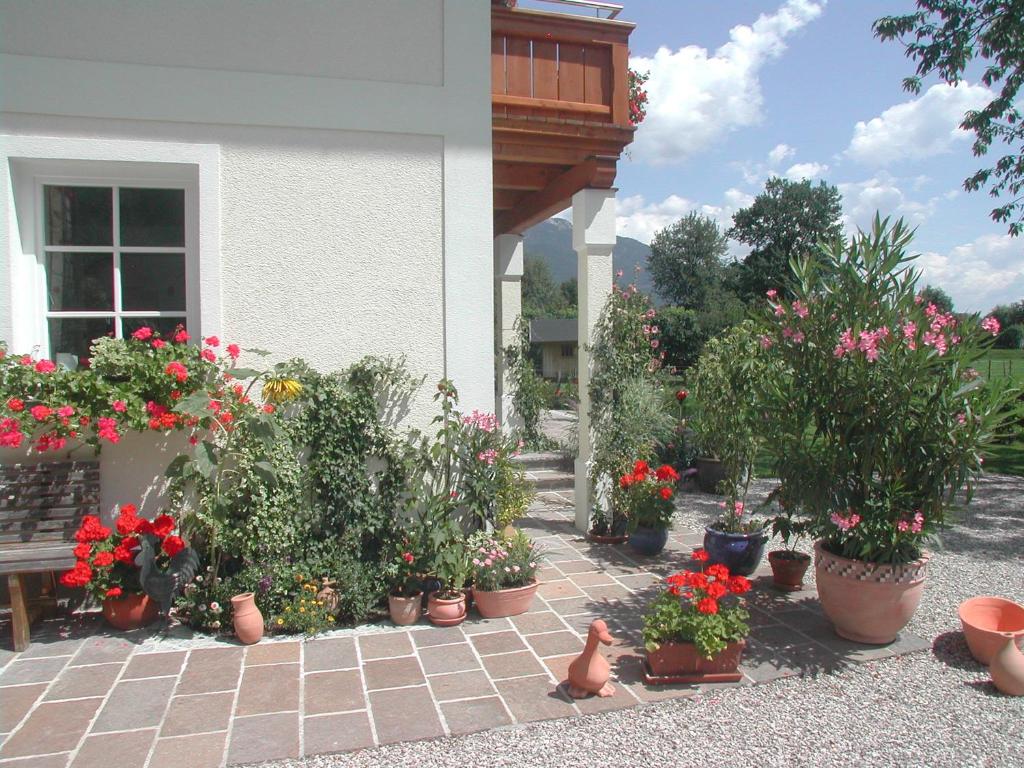 Zahrada ubytování Landhaus Leitner am Wolfgangsee