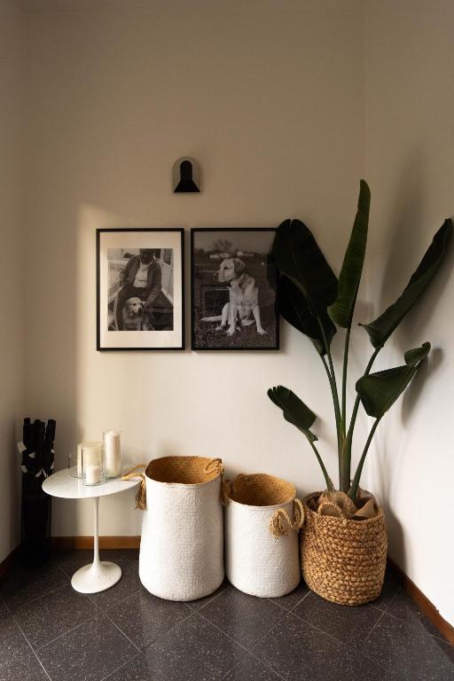 Hotel Adriatica con Piscina - Resim 19