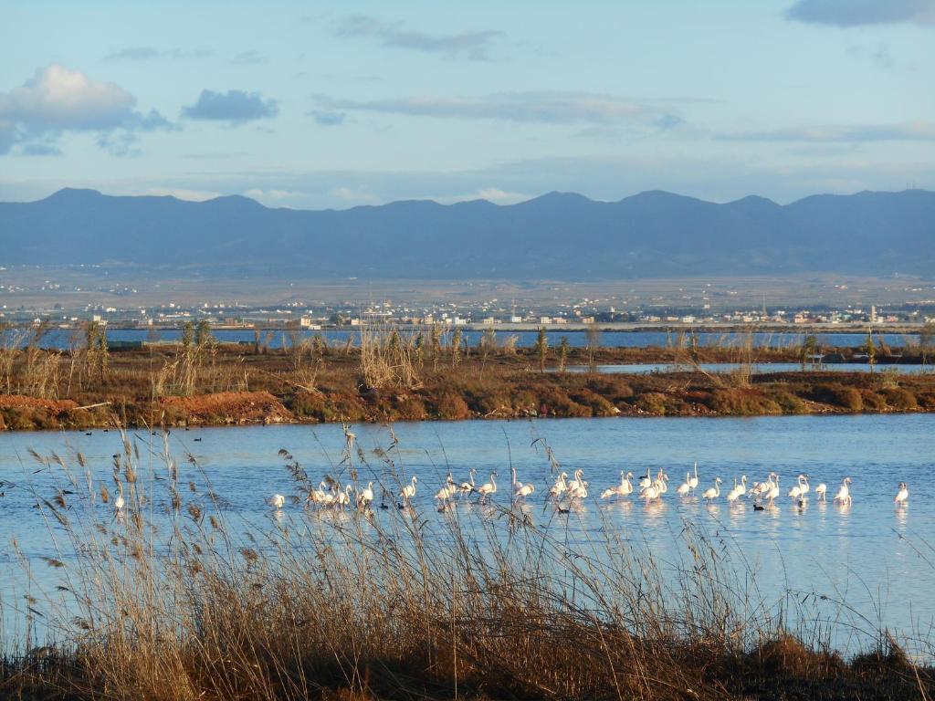 Paesaggio naturale nelle vicinanze del bed & breakfast