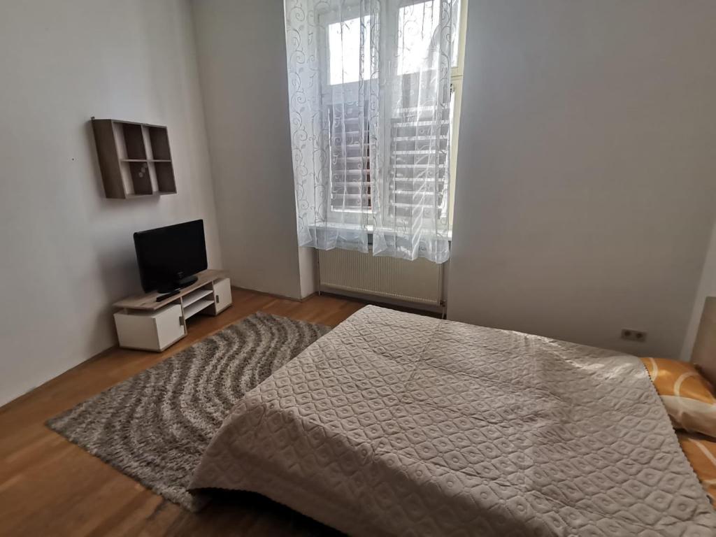 een slaapkamer met een bed, een televisie en een raam bij Central City Apartment in Wenen