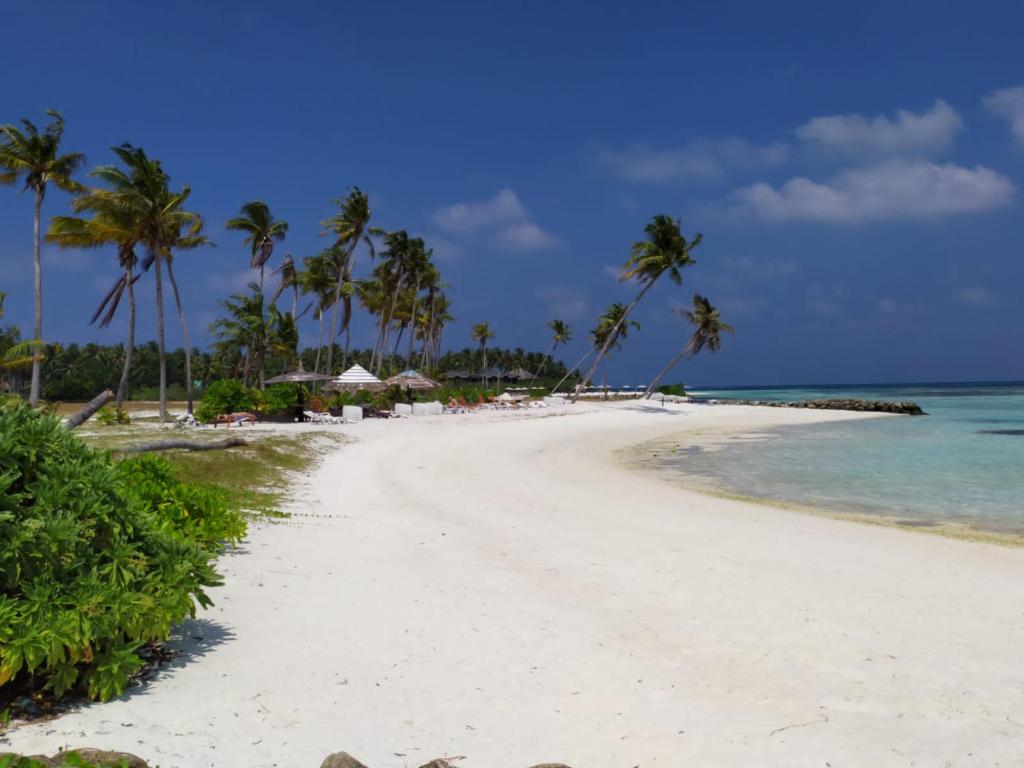 Courtyard Maldives - View 7
