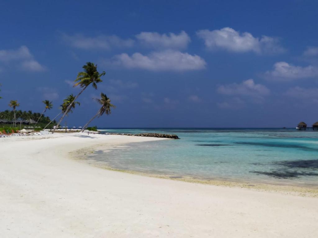 Courtyard Maldives - View 30