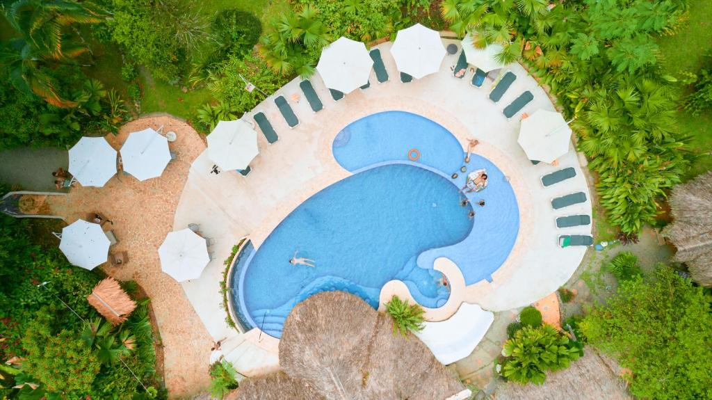 Bazén v ubytování Cariblue Beach and Jungle Resort nebo v jeho okolí