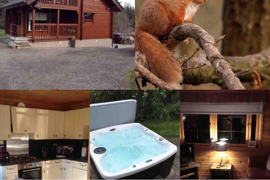 a collage of pictures with a squirrel in a kitchen and a bath tub at Red Squirrel log cabin with hot tub in Keith