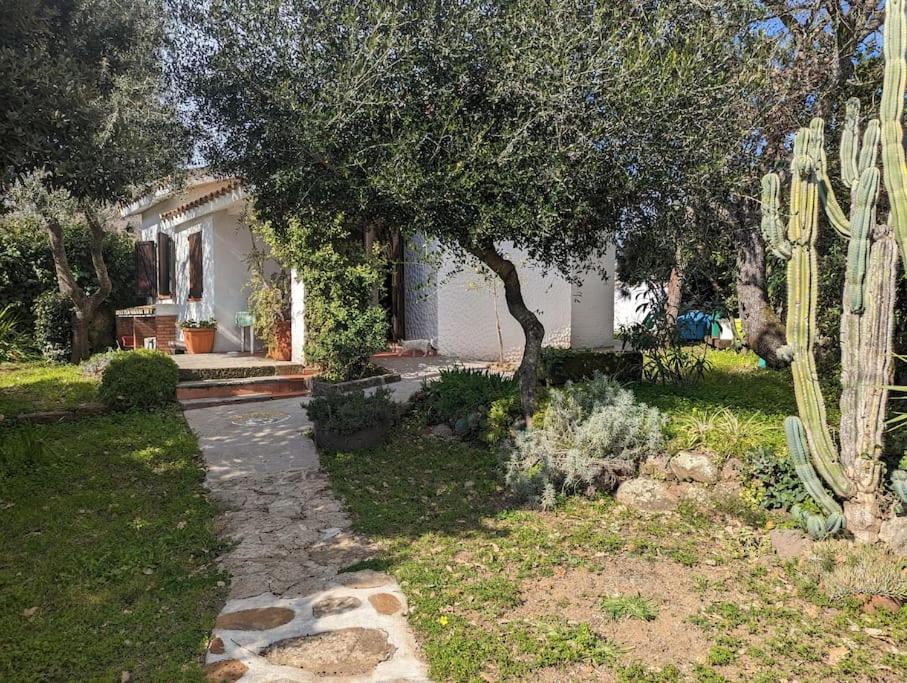 una casa con giardino e cactus di (P3347) Cottage familiare Sant'Agostino ad Abbasanta