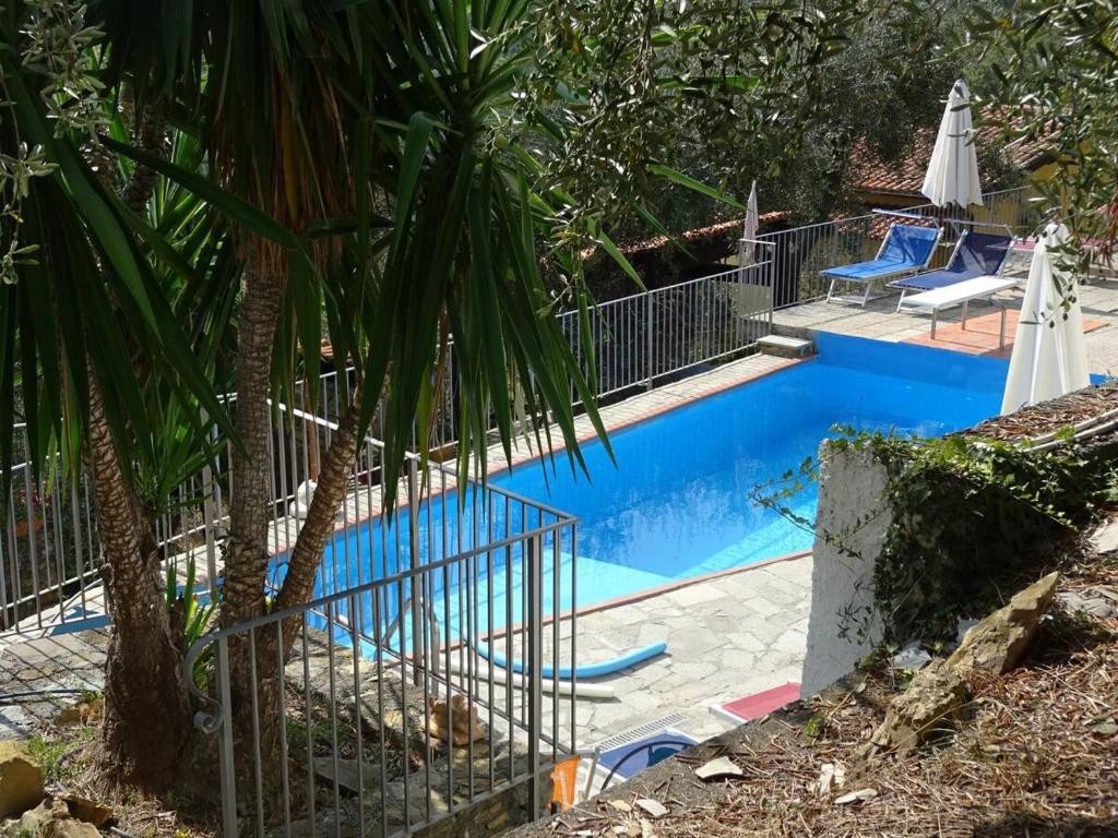 una piscina con una palmera al lado en Villa Berio Uno - Papà, en Villa Viani